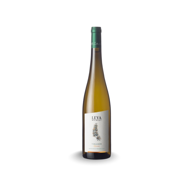Terlaner Riserva - Weingut LEYA
