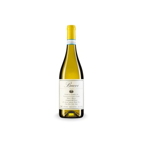 Bucci Verdicchio Classico Superiore 2024 | Acquista Online