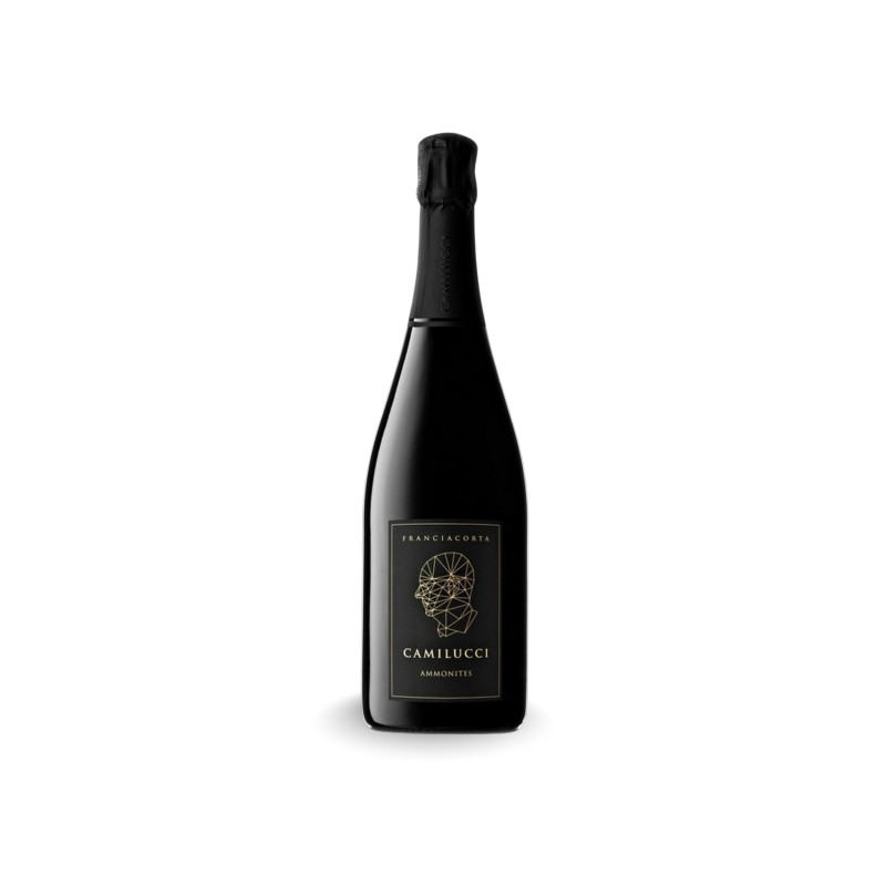 Acquista Ora Franciacorta Camillucci Ammonites