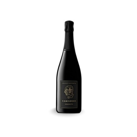 Acquista Ora Franciacorta Camillucci Ammonites